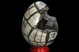 Septarian Dragon Egg Geode - Black Crystals #98865-1